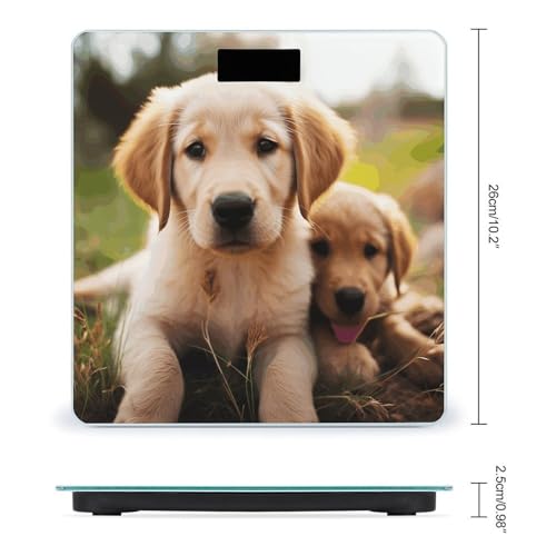 Báscula digital de baño con vidrio templado y pantalla LCD miniatura 2