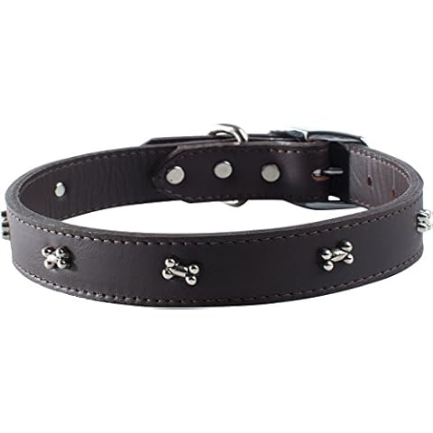 OmniPet Signature Leather Dog Collar with Bone Ornaments, Sable, 10" Cover