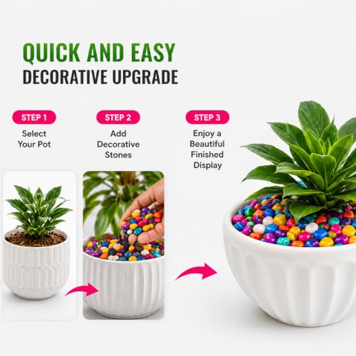 Image of Go Garden Decorative Pebbles for Plants 2 Kg | Natural Multi-Color Polished Stones for Plant Pots, Fish Tank Aquarium, Vase Fillers, Succulents, Terrariums & Indoor Outdoor Home Decoration