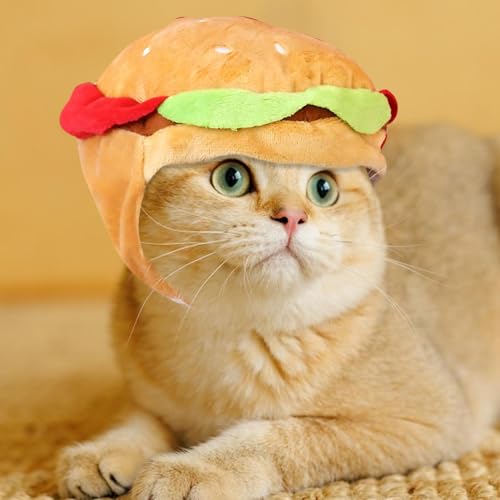 Chapéu engraçado do animal de estimação, chapéus do gato | Chapéus engraçados do hambúrguer do gato