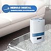 Ardes NEBULO DIGITAL AR8U20 – Umidificatore a ultrasuoni con ionizzatore, display LED, igrometro, 4 livelli di vapore e timer 12 ore, capacità 4,5 l, bianco