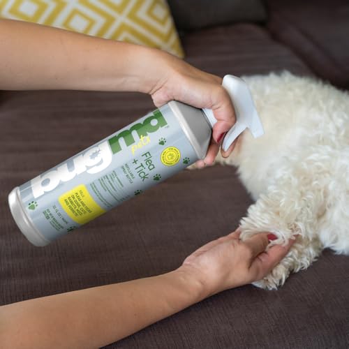 BugMD-Empty-Plastic-Spray-Bottle-32-oz-Refillable-Spray-Bottle-for-Flea-and-Tick-Concentrate-Sold-Separately-Heavy-Duty-Spray-Bottle-Nozzle