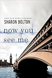 Now You See Me: A Lacey Flint Novel (Lacey Flint series Book 1)