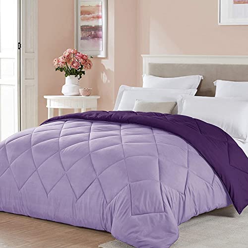 Seward Park Couette réversible pour Enfants, Cadeau de Thanksgiving pour Enfants, Parure de lit légère en Microfibre pour Filles, Toutes Saisons, Couverture...