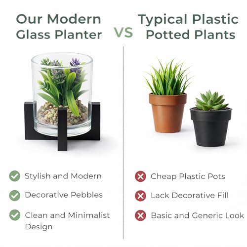 Image of CURATED CART Artificial Plant with Glass Pot for Home Decor, Mini Small Decor Item, Fake Succulent Plant for Office Des, Home Decoration, Artificial Plant with Pebbles & Wooden Stand