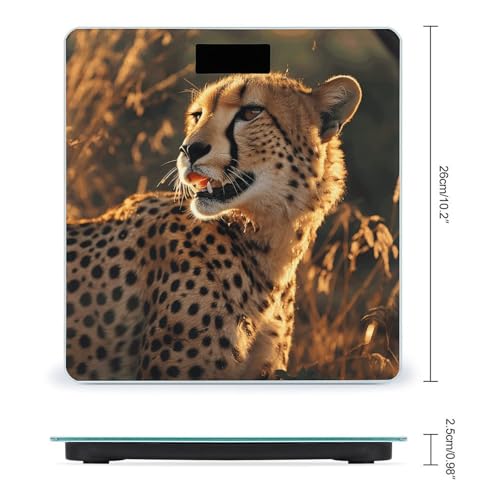 Báscula Digital de Baño Precisa Cheetah 400lb miniatura 2