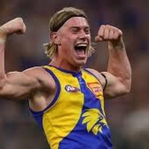 Harley Reid on his new mentor Dustin Martin