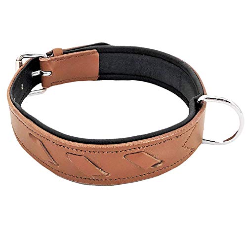 FDC Genuine Leather Soft Padded Dog Collar for Medium and Large Breeds (M: Neck 13" - 16")
