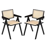 Furlide Rattan Dining Chairs Set of 2, Modern Mid Century Dining Chairs with Arms, Outdoor Bamboo Chairs for Bedroom, Living Room, Reading Room, Black