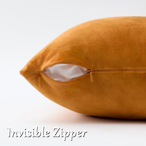 Image of GIGIZAZA Cinnamon Burnt Orange Velvet Decorative Throw Pillow Covers for Sofa Bed 2 Pack Soft Cushion Cover (Cinnamon, 12 x 20- Set of 2)