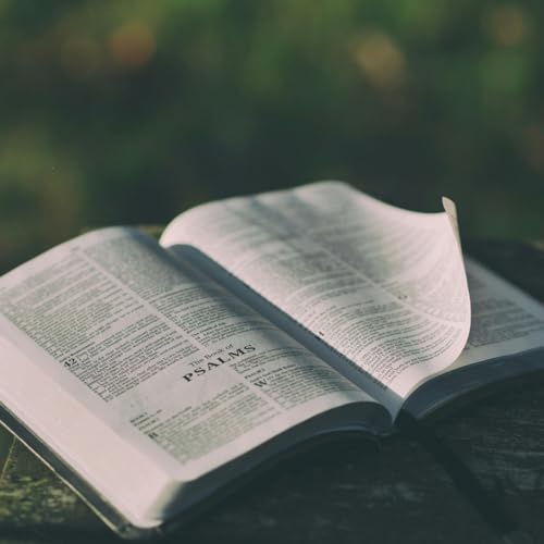 Slippery Places: Reflections on Psalm 73
