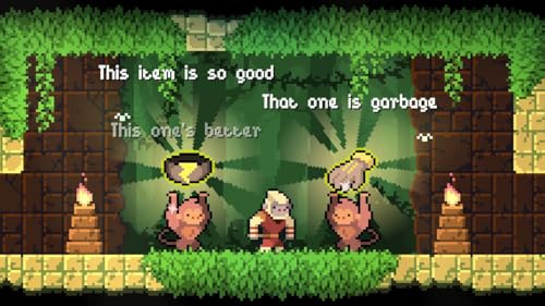 Dunjungle premium edition PS5 - vue 7