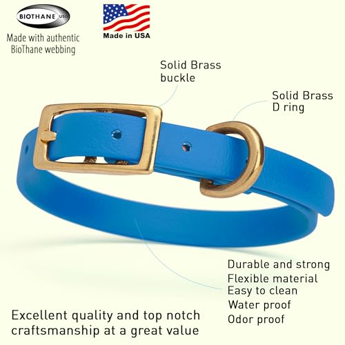 Image of Viper Biothane Heavy Duty Waterproof Dog Collar Strong Coated Nylon Webbing w /Solid Brass Hardware Odor-Proof Easy to Clean High Performance Fits Small Medium or Large Dogs, Cerulean Blue