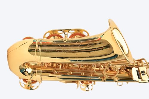 Kit Saxofone Alto Eb Laqueado Estojo Case Luxo Kit Acessórios