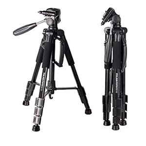POLAM-FOTO 55″/140cm Leichtes Stativ Nikon mit Bubble Level, Reisekamera Stativ mit Tragetasche für SLR/DSLR passt mit Canon/Nikon/Sony …