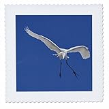 Square dimensions (in inches): 25 L x 25 W, image dimensions (in inches): 23 L x 23 W 100% poloyester; image is soft to touch. Made in USA Edges have pinking shear cut Image will not fade with washing. Image not a transfer, part of material