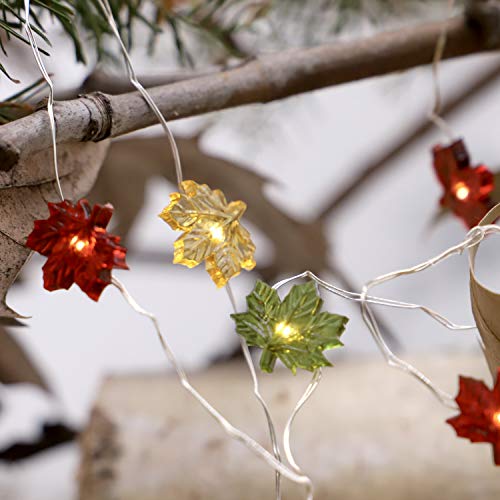 Miya Life Maple Leaves Fairy String Lights 10Ft 40Leds Copper Wire With The Remote & Timer For Thanksgiving Harvest Halloween Christmas Birthday Gift Autumn Indoor Parties Home Bedroom Decoration #TOP6
