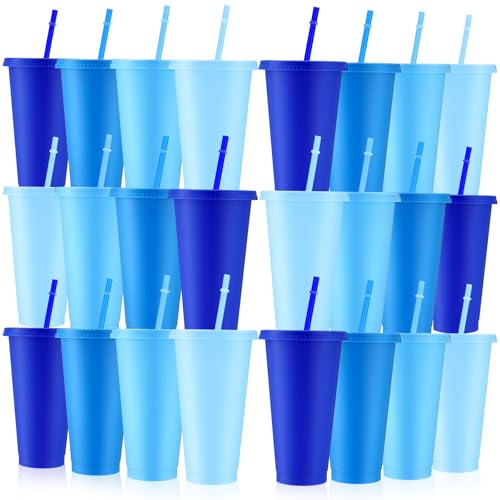 Skylety 24 Pcs Dusty Blue Plastic Cups with Lids and Straws 24 oz Reusable Tumbler Large Travel Mug Cup Coffee Beverage Drinks Wedding Bridal Baby Shower Party Blue Birthday Party Supplies