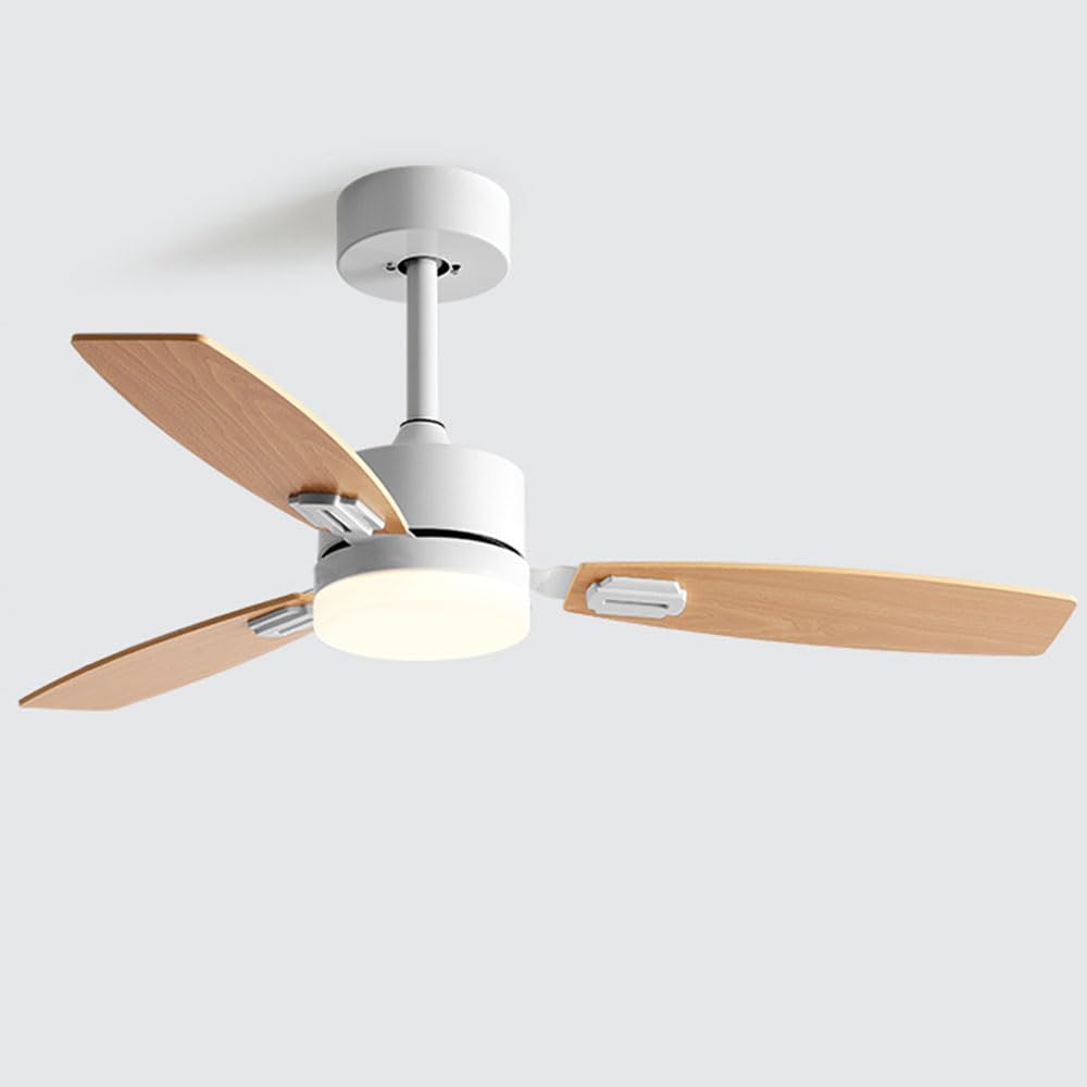 Ventilateur de plafond pour chambre et salon rafraîchissement silencieux avec LED