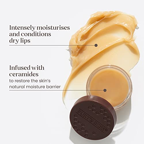 Miniatura 2 de Burt S Bees Máscara Labial, Tratamiento Labial Nocturno, Reparación Intensa De Labios Con Ceramidas Y Aceites Acondicionadores, 7,08 Gramos