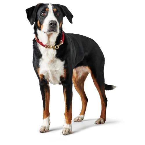 HUNTER 67847 Halsung Tinnum, 180 g