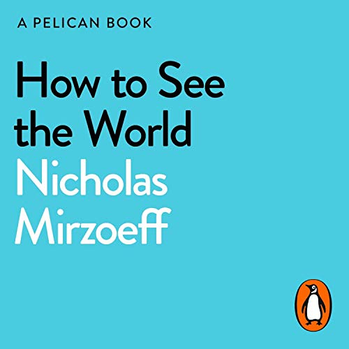 How to See the World by Nicholas Mirzoeff episode artwork