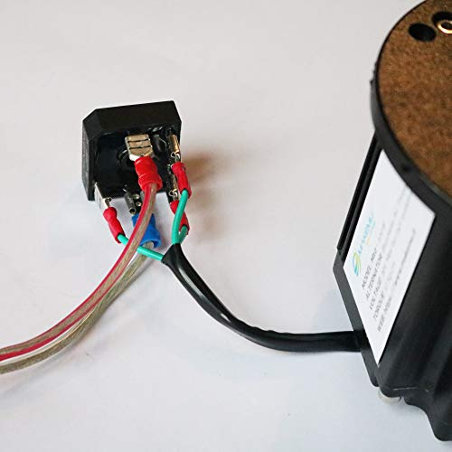 Three-Phase alternator Brushless Permanent Magnet Generator Electric Wind Turbine hydroelectric Dinamo 12V 24V 48V - Thumbnail 7