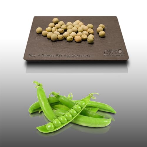 75 grammes à semer - Le Grenier d'Abondance - POIS à rames Roi des Conserves - Pisum sativum