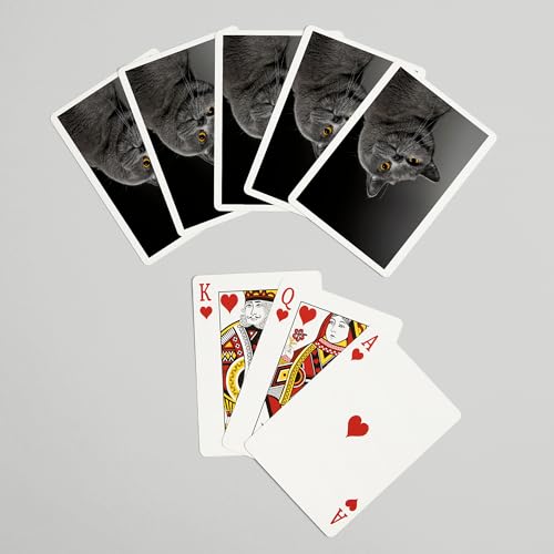 Mazo de cartas Poker British Shorthair Cat 52 piezas miniatura 7