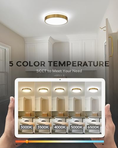Image of Ken & Ricky 12 inch Modern Flush Mount Ceiling Light,Brush Gold,1 Pack
