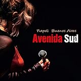 Avenida sud