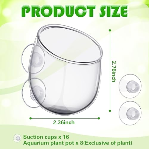 Image of Dandat 8 Pcs Aquarium Plant Holder Pot Clear Glass Aquatic Plant Cup with Suction Cups Aquarium Fish Tank Pots for Aquaponic Cultivation Water Feature Decoration