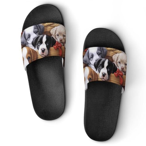 Cute Dogs in Basket Non Slip Slides Sandals for Women Men Quick Drying Shower Shoes for Bathroom Pool Beach