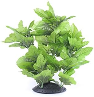 pianta da seta per acquario