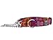 RC Pet Products 1-Inch Training Martingale Collar, Large, Trendy Mehndi