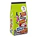 Hershey Assorted Flavored Snack Size, Halloween Candy Bulk Bag, 39.43 oz (75 Pieces)