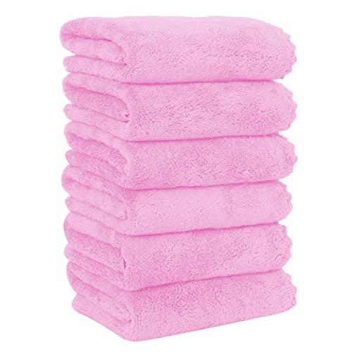 MOONQUEEN 6 Pack Premium Hand Towels - Quick Drying - Microfiber Coral Velvet Highly Absorbent Towels - Multipurpose Use as Hotel, Bathroom, Shower, Spa, Hand Towel 16 x 28 inches (Frozen Berry)