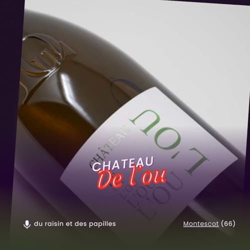 Les secrets du Ch&acirc;teau de l'Ou : Schiste et foudre rotatif