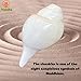 NAISHA Genuine Blowing Puja Shankh Vamavarti Dattatreya Conch Shell - Ritual Plain Pooja Shankhnaad Home Decorations (4.5 inches)