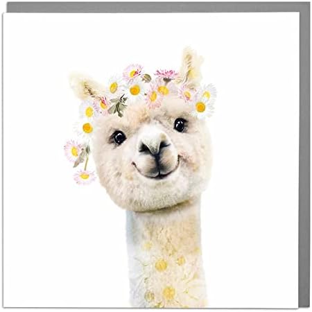 Lola Design - Wildlife Botanical Greeting Cards - Blank Cards and Envelopes - Alpaca Animal Card