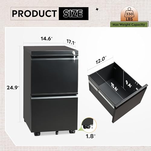 DEVAISE 2-Drawer Metal File Cabinet with Lock for Home Office, Fully Assembled (Excluding Casters), Fits Letter/Legal/A4 Files, Black