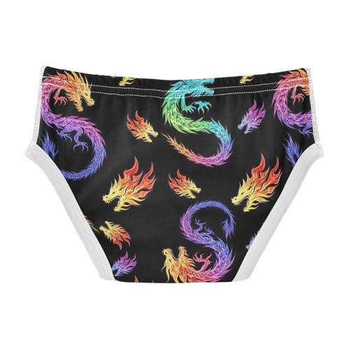 CHIFIGNO Boys' Underwear Cotton Briefs Soft Breathable Little Boys Underwear Briefs, Colorful Dragons Black2