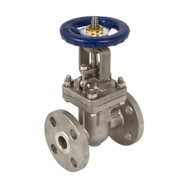 Sharpe Valves 35316 Series Stainless Steel 316 Gate Valve, Class 300