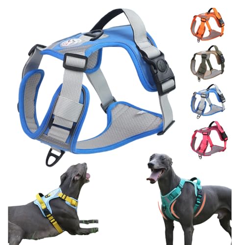 yVozp n[lX, ̎ pbhxXg, ˍޕt ^/^/^ L U/P/o|/ ybg ́[˂ Ȃ y EȒP \ ʋC iJ[9jiTCYMC1j