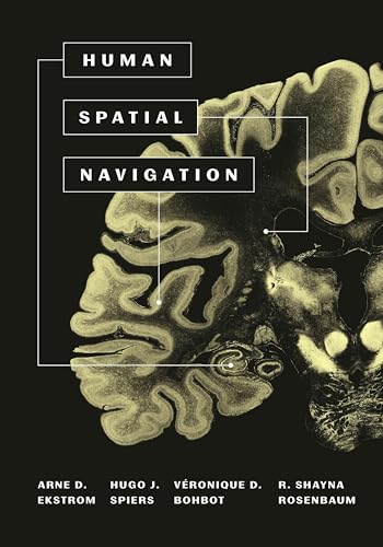 Human Spatial Navigation view 2