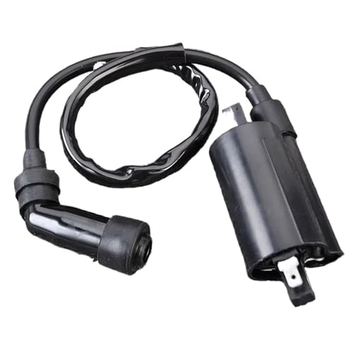 Bobine d'allumage moto Suzuki AN250 AN400 Burgman 33410-14F00