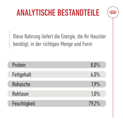 ROYAL CANIN X-SMALL Puppy Stückchen in Soße Feuchtnahrung für Hunde 12 x 85 g