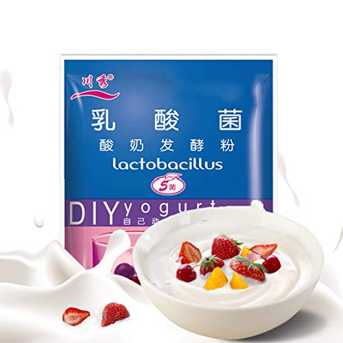 Buy WENWING 1g10 Pack All Natural Lactobacillus Yogurt Starter Cultures 5 Probiotics Make