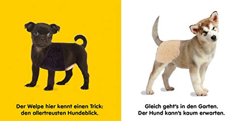 Mein Fühlbilderbuch. Hunde: Mit Reimen, Fühl- und Glitzerelementen