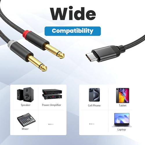 Cable USB C a doble Jack 6.35mm de audio 2 m miniatura 3
